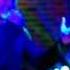 NEURO X Live Вальпургиева Ночь Art Club Steam Blues