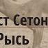 Рассказ Рысь Эрнест Сетон Томпсон