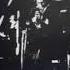 Raicho Ivanov And His Rock Jazz Orchestra In A Silent Way