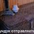 Реставрировали антикварный сундук и обнаружили в нём находки винтаж сокровище жизнь клад