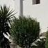 Spanish Property Choice Video Property Tour Villa Cortijo A880 Arboleas Almeria Spain 169 000