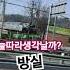 방실이 첫차 구 구독 좋아요 감사합니다