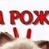 С днем рождения поздравляю Красивое поздравление и пожелание видео открытка