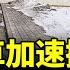 大眾汽車加速撤離中國 關閉新疆工廠