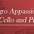 C Saint Saens Allegro Appassionato Op 43 Cello And Piano Piano Accompaniment