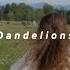 Dandelions Ruth B Sped Up