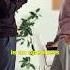 Robert Greene Vulernability Is A Superpower In Dating