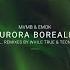 Aurora Borealis While True Remix