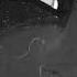 Strange Zavisay Mask