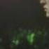 The Cure A Forest Live 1992