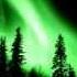Wardruna Naudir