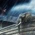 Vivaldi Storm Davit Matevosyan