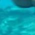 Тургруппа Проходимцы из Кисловодска в Красном море