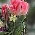 ПРЕДЧУВСТВИЕ ЛЮБВИ A PREMONITION OF LOVE Марк Зуев Mark Zuev Music Piano 2024 Love релакс
