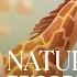 Nature Trails Episode 2 A June S Journey Animated Story Green Game Jam 2025