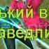Смешарики Азбука здоровья Горький вкус справедливости