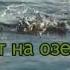 В деревне На рыбалке 2005 г Стихи