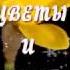 КРАСИВАЯ МУЗЫКА ЦВЕТЫ И ПОЖЕЛАНИЯ ДРУЗЬЯМ ЦВЕТОЧНОЕ НАСТРОЕНИЕ