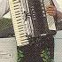 German Polka Medley