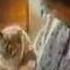 Whiskas Cat Food Advert 1980s