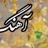 Nasim Hashemi Humbastagi Official Video Music