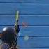 Sabai Knock Vayeu Shorts Pubgm Pubgmobile Pubg Bgmi Bangeygaming