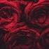 FREE Post Malone Juice WRLD Type Beat Hate Me Sad Guitar Trap Beat Flare