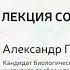 Александр Панчин Осторожно Лекция содержит ГМО SetUp МИСиС