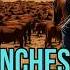 Top 10 Largest Active Cattle Ranches In The World By Land Size One Is 7x King Ranch