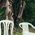Bad Bunny KETU TeCRE
