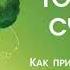 Гормоны счастья Лоретта Бройнинг Аудиокнига