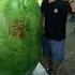 АХ АРБУЗ ПОЛОСАТЫЙ КАРАПУЗ Watermelon