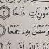 17 Dars Qur On Saboqlari Adiyat Surasi QUR ON OQİSHNİ ORGANAMİZ