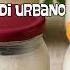 Spot Pubblicitario Yogurt Artigianale