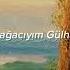 Cem Karaca Ceviz Ağacı Lyrics Sözleri