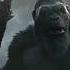 Best Evolution Of King Kong Kingkong Evolution Godzillaxkongthenewempire