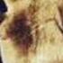 CUBErt System Of A Down