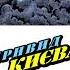 History Short The Ghost Of Kyiv Shorts