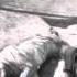 BENGAL TIGER ATTACK FAR CRY 3 XBOX360
