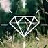 Luxx Daze You Stole My Heart Pete Bellis Tommy Remix
