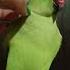 Main Tota Mithu Mithu Karta Main Tota Main Tota Hindi Rhyme For Kids Maintota Parrot Hindirhyme