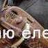 Шарманка шарлатанка Булат Окуджава текст Sharmanka Sharlatanka