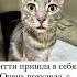 Как мы выжили 2 Часть