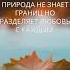 аудиокнига аудиокниги психология Motivation