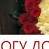 Чеченская Песня Догу Дог