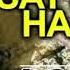 Shivji Satya Hai Shiv Bhajan Edited From Movie AB TUMHARE HAWALE WATAN SATHIYO