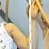 Крепыш спорткомплексы Скрипалева и закаливание в детском саду архивные съемки