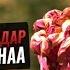 ЭҢ ЖАМАН АДАМДАР көчөдөгү зынаа Шейх Чубак ажы