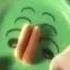 New Zoopals 2 In Caught A Cold