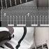 Rammstein Tattoo Guitar Cover W Tabs